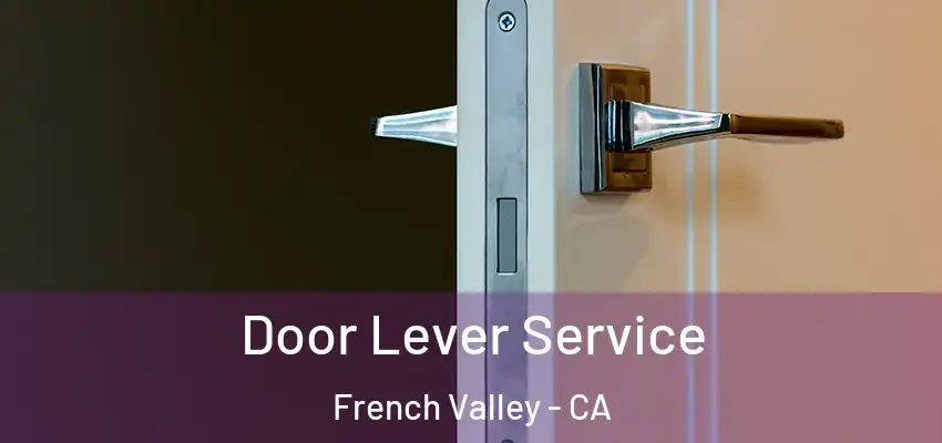  Door Lever Service French Valley - CA